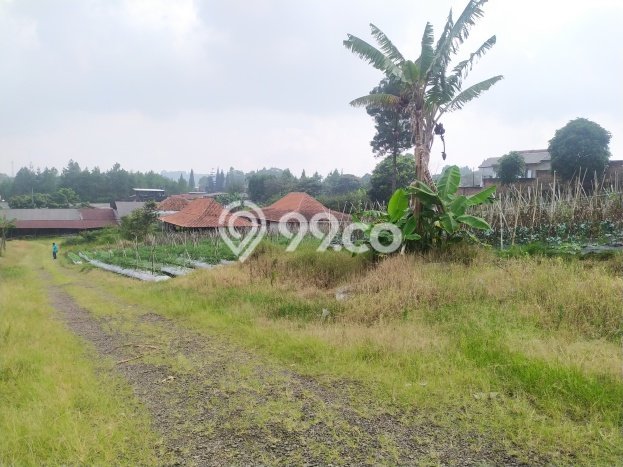 Tanah untuk Dijual Lokasi Lembang, Bandung Barat Luas 20000m2 SHM Tanah untuk Dijual Lokasi Lembang, Bandung Barat Luas 20000m2 SHM
