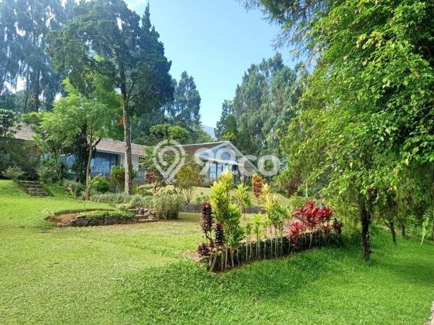 Vila Premium di Bogor Selatan, Luas 9120m2m², Akses Bogor Selatan, Bogor, Bogor Vila Premium di Bogor Selatan, Luas 9120m2m², Akses Bogor Selatan, Bogor, Bogor
