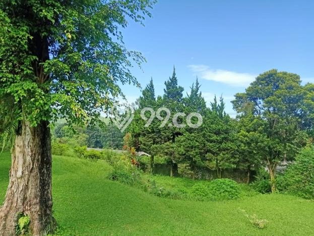 Vila Premium di Bogor Selatan, Luas 9120m2m², Akses Bogor Selatan, Bogor, Bogor Vila Premium di Bogor Selatan, Luas 9120m2m², Akses Bogor Selatan, Bogor, Bogor