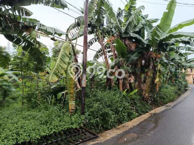 Kavling Tanah Dijual di Cipayung Jakarta Timur Spesifikasi 1564m2 Kavling Tanah Dijual di Cipayung Jakarta Timur Spesifikasi 1564m2