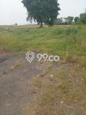 Tanah Siap Bangun Dijual di Bekasi Punya Luas 21625m2 Tanah Siap Bangun Dijual di Bekasi Punya Luas 21625m2