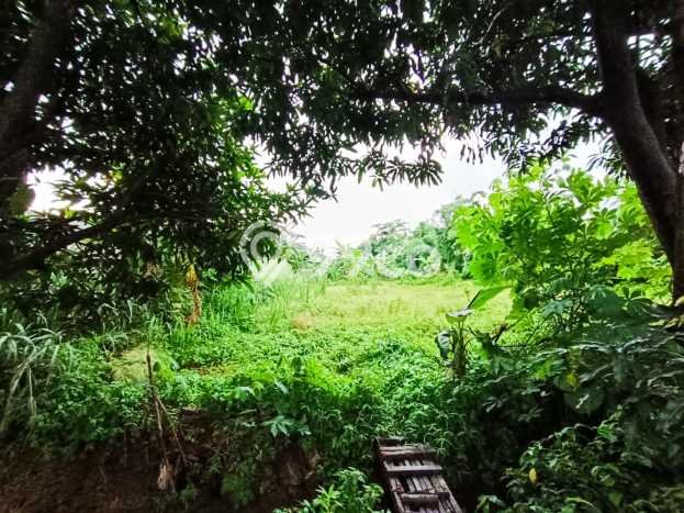 Kavling Tanah Dijual di Cipayung Jakarta Timur Spesifikasi 1564m2 Kavling Tanah Dijual di Cipayung Jakarta Timur Spesifikasi 1564m2