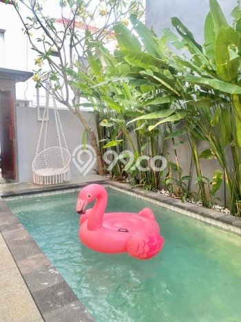 Rumah Kontrakan Badung LT 100m2 LB 10m2 Area Jimbaran Rumah Kontrakan Badung LT 100m2 LB 10m2 Area Jimbaran