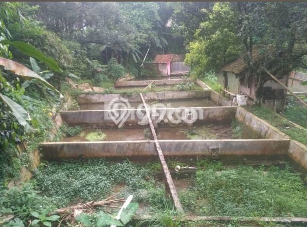 Tanah Kavling untuk Dijual di Cijeruk Bogor 4300m2 Tanah Kavling untuk Dijual di Cijeruk Bogor 4300m2
