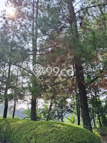 Jual Tanah Lokasi Prima di , Luas 748m2m², Akses Bandung, Bandung Jual Tanah Lokasi Prima di , Luas 748m2m², Akses Bandung, Bandung