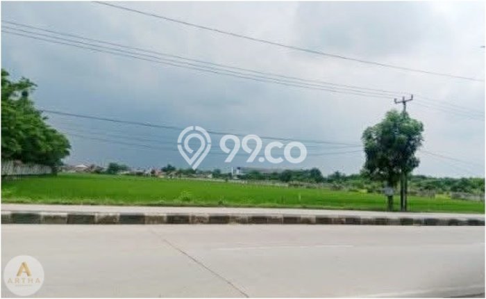 Tanah Dijual Lokasi Karawang Timur, Karawang dengan Luas Tanah 57000m2 dan Status SHM Tanah Dijual Lokasi Karawang Timur, Karawang dengan Luas Tanah 57000m2 dan Status SHM