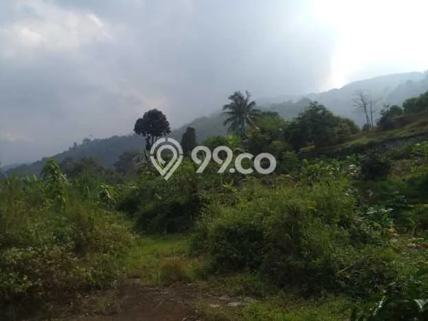 Tanah Dijual Lokasi Cijeruk, Bogor Luas 107m2 Legalitas Aman Tanah Dijual Lokasi Cijeruk, Bogor Luas 107m2 Legalitas Aman