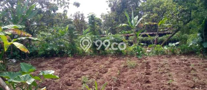 Tanah Dijual Lokasi Tamansari Bogor SHM Tanah Dijual Lokasi Tamansari Bogor SHM