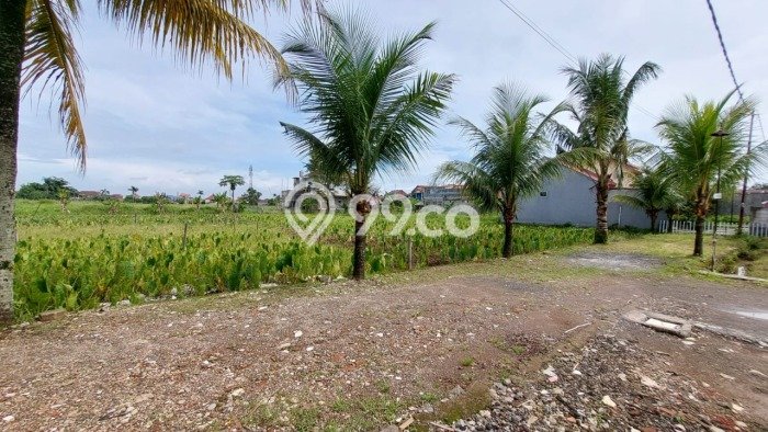 Jual Tanah Lokasi Prima di Dramaga, Luas 152m², Dekat Dramaga, Bogor, Bogor Jual Tanah Lokasi Prima di Dramaga, Luas 152m², Dekat Dramaga, Bogor, Bogor