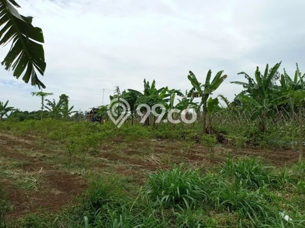 Tanah Kosong Dijual di Bogor dengan Area 105m2 Tanah Kosong Dijual di Bogor dengan Area 105m2