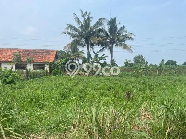 Dijual Tanah Lokasi Cilebut, Bogor Seluas 100m2 Dijual Tanah Lokasi Cilebut, Bogor Seluas 100m2