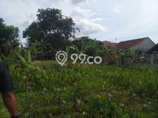 Lahan untuk Dijual Lokasi Ciomas, Bogor Luas 92m2 SHM Lahan untuk Dijual Lokasi Ciomas, Bogor Luas 92m2 SHM
