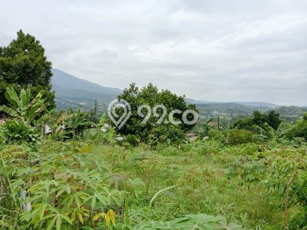 Tanah Kosong Dijual di Bogor dengan Area 105m2 Tanah Kosong Dijual di Bogor dengan Area 105m2