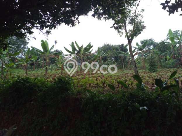 Tanah Kavling di Bojong Gede Dijual dengan Luas 103m2 Tanah Kavling di Bojong Gede Dijual dengan Luas 103m2