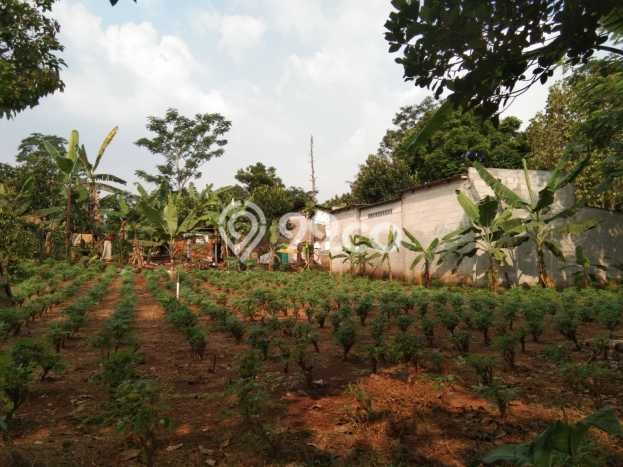 Tanah Kavling di Bojong Gede Dijual dengan Luas 103m2 Tanah Kavling di Bojong Gede Dijual dengan Luas 103m2