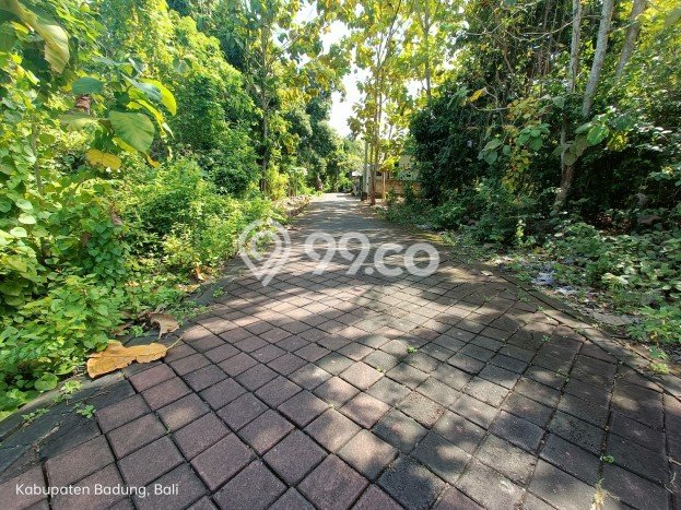 Tanah Dijual di Badung Seluas 4150m2 Strategis Tanah Dijual di Badung Seluas 4150m2 Strategis