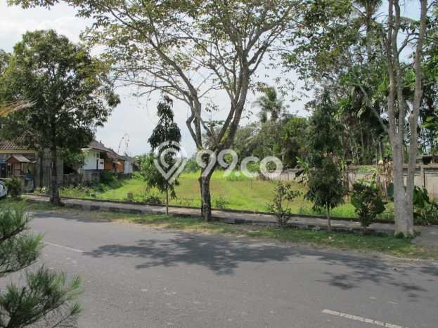Lahan untuk Dijual Lokasi Tabanan, Tabanan Luas 2100m2 SHM Lahan untuk Dijual Lokasi Tabanan, Tabanan Luas 2100m2 SHM
