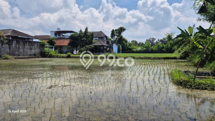 Tanah Dijual Lokasi Gianyar, Gianyar Luas 1000m2 Legalitas Aman Tanah Dijual Lokasi Gianyar, Gianyar Luas 1000m2 Legalitas Aman