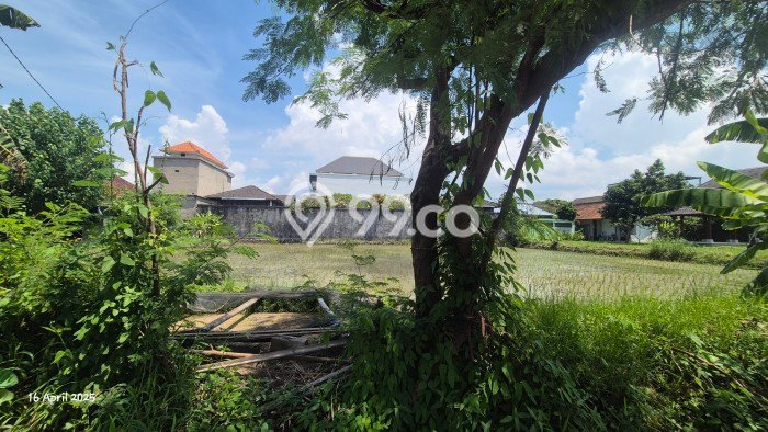Tanah Dijual Lokasi Gianyar, Gianyar Luas 1000m2 Legalitas Aman Tanah Dijual Lokasi Gianyar, Gianyar Luas 1000m2 Legalitas Aman
