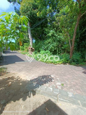 Tanah Dijual di Badung Seluas 4150m2 Strategis Tanah Dijual di Badung Seluas 4150m2 Strategis