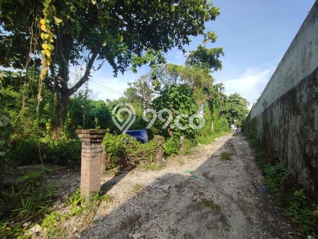 Tanah Siap Bangun Dijual di Badung Punya Luas 2000m2 Tanah Siap Bangun Dijual di Badung Punya Luas 2000m2