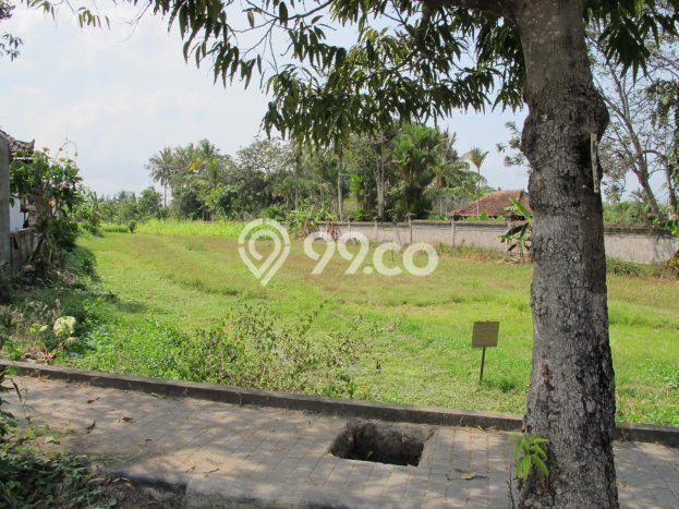 Lahan untuk Dijual Lokasi Tabanan, Tabanan Luas 2100m2 SHM Lahan untuk Dijual Lokasi Tabanan, Tabanan Luas 2100m2 SHM