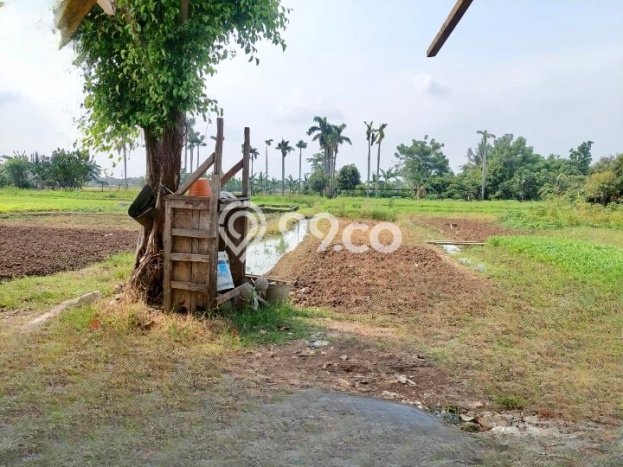 Tanah di Semanan, Luas 12000m², Area Potensial, Lingkungan Asri, Bebas Banjir Tanah di Semanan, Luas 12000m², Area Potensial, Lingkungan Asri, Bebas Banjir