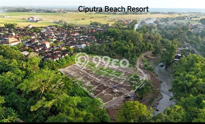 Tanah Dijual Lokasi Kediri, Tabanan Luas 6800m2 Legalitas Aman Tanah Dijual Lokasi Kediri, Tabanan Luas 6800m2 Legalitas Aman