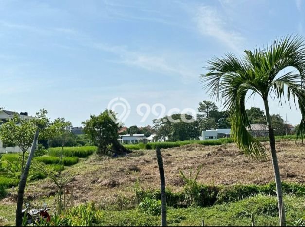 Tanah Dijual di Badung Seluas 1390m2 Strategis Tanah Dijual di Badung Seluas 1390m2 Strategis