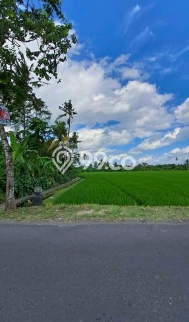 Dijual Tanah Lokasi Strategis Kawasan Tabanan, Luas 530m2m², Dekat Tabanan, Tabanan, Tabanan Dijual Tanah Lokasi Strategis Kawasan Tabanan, Luas 530m2m², Dekat Tabanan, Tabanan, Tabanan