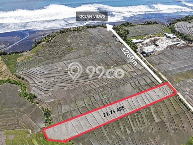 Tanah Siap Bangun Dijual di Tabanan Punya Luas 2175m2 Tanah Siap Bangun Dijual di Tabanan Punya Luas 2175m2