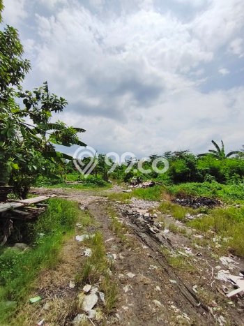 Kavling Tanah di Denpasar Utara Dijual Luas 9480m2 Legalitas SHM Kavling Tanah di Denpasar Utara Dijual Luas 9480m2 Legalitas SHM