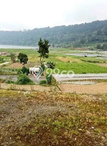 Tanah Dijual di Buleleng Seluas 20000m2 Strategis Tanah Dijual di Buleleng Seluas 20000m2 Strategis