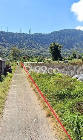 Tanah Dijual di Buleleng Seluas 20000m2 Strategis Tanah Dijual di Buleleng Seluas 20000m2 Strategis