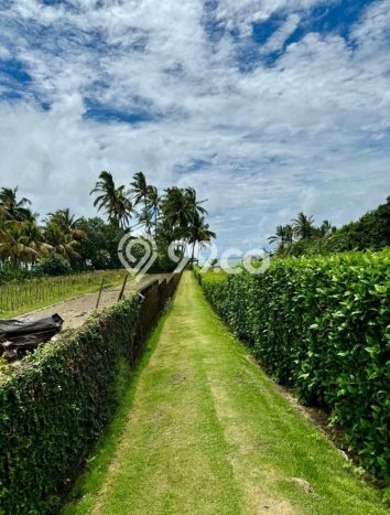 Dijual Tanah Lokasi Tibubiyu, Tabanan Seluas 3400m2 Dijual Tanah Lokasi Tibubiyu, Tabanan Seluas 3400m2