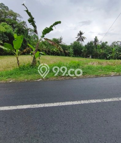 HARGA TERBAIK! Tanah di Tabanan, Luas 1040m2m², Area Berkembang HARGA TERBAIK! Tanah di Tabanan, Luas 1040m2m², Area Berkembang