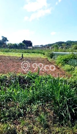 Dijual Tanah Lokasi Bedugul, Tabanan Seluas 265m2 Dijual Tanah Lokasi Bedugul, Tabanan Seluas 265m2