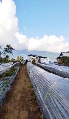 Tanah Dijual di Tabanan Seluas 17500m2 Strategis Tanah Dijual di Tabanan Seluas 17500m2 Strategis