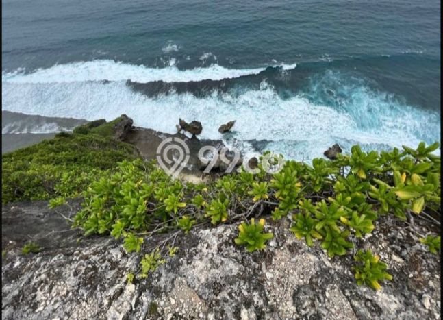 Dijual Tanah Lokasi uluwatu, Badung Seluas 2200m2 Dijual Tanah Lokasi uluwatu, Badung Seluas 2200m2
