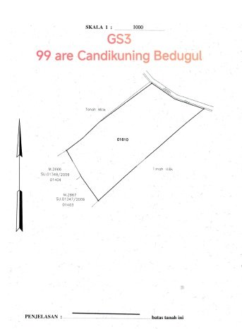 Tanah Kavling Dijual di Tabanan dengan Spesifikasi 9900m2 Tanah Kavling Dijual di Tabanan dengan Spesifikasi 9900m2