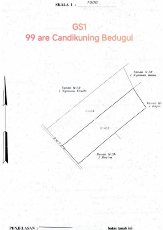 Tanah Kavling Dijual di Tabanan dengan Spesifikasi 9900m2 Tanah Kavling Dijual di Tabanan dengan Spesifikasi 9900m2