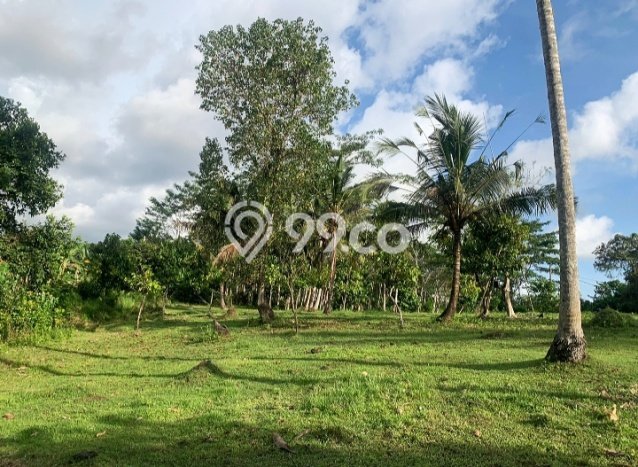 Jarang Ada! Tanah di Selemadeg Punya Luas 11220m2 - Jarang Ada! Tanah di Selemadeg Punya Luas 11220m2 -