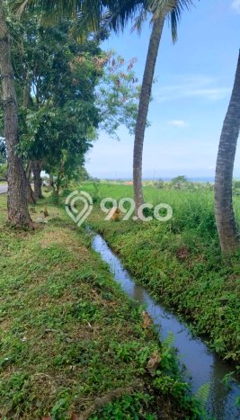 Tanah Dijual Area Strategis di Antap Tabanan 3180m2 Tanah Dijual Area Strategis di Antap Tabanan 3180m2