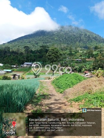 Tanah Kavling Dijual di Tabanan dengan Spesifikasi 9900m2 Tanah Kavling Dijual di Tabanan dengan Spesifikasi 9900m2