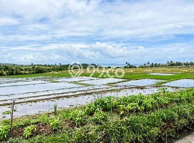Tanah Siap Bangun Dijual di Tabanan Punya Luas 2175m2 Tanah Siap Bangun Dijual di Tabanan Punya Luas 2175m2