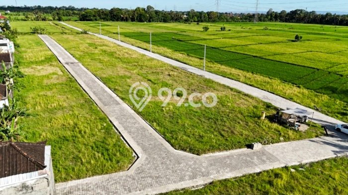 Tanah Kavling Dijual di Kedungu, Tabanan dengan Luas Tanah 125m2 Tanah Kavling Dijual di Kedungu, Tabanan dengan Luas Tanah 125m2