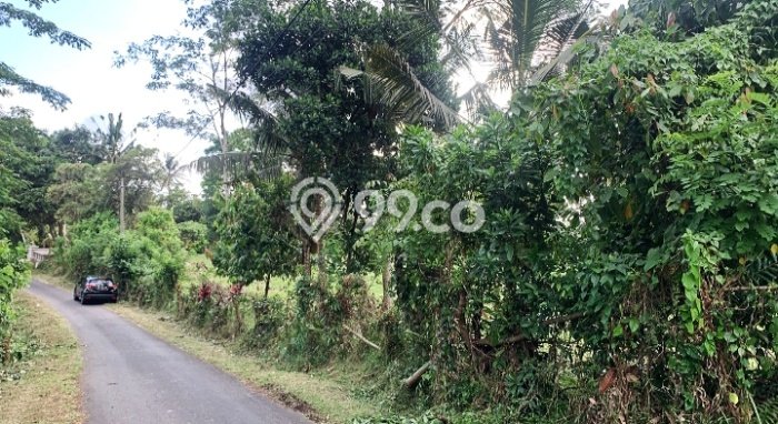 Jarang Ada! Tanah di Selemadeg Punya Luas 11220m2 - Jarang Ada! Tanah di Selemadeg Punya Luas 11220m2 -
