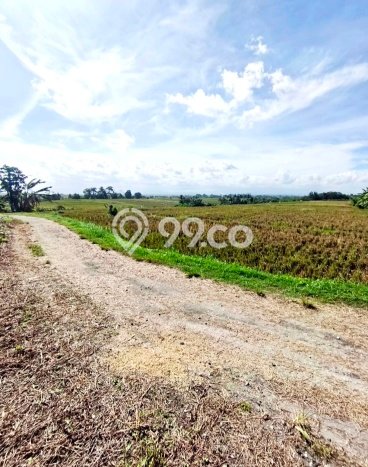Tanah Dijual Area Strategis di Tibubiyu Tabanan 7300m2 Tanah Dijual Area Strategis di Tibubiyu Tabanan 7300m2