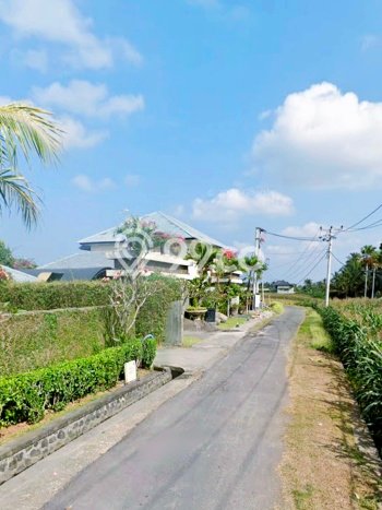 Dijual Tanah Lokasi Tibubiyu, Tabanan Seluas 3400m2 Dijual Tanah Lokasi Tibubiyu, Tabanan Seluas 3400m2