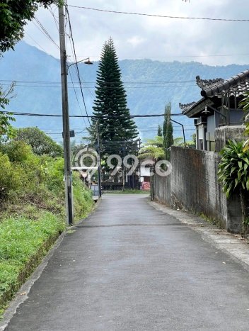 Tanah Dijual Area Strategis di Bedugul Tabanan 900m2 Tanah Dijual Area Strategis di Bedugul Tabanan 900m2